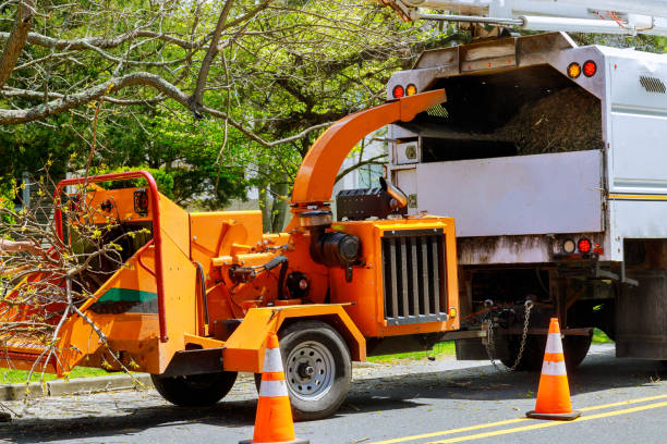 Best Fruit Tree Pruning  in Thiensville, WI